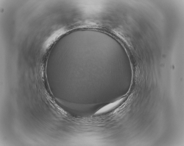 X0000087371455200705111658