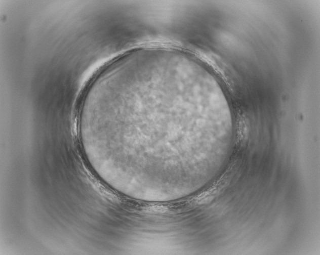 X0000087371462200705111658