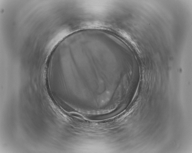 X0000087371463200705111658