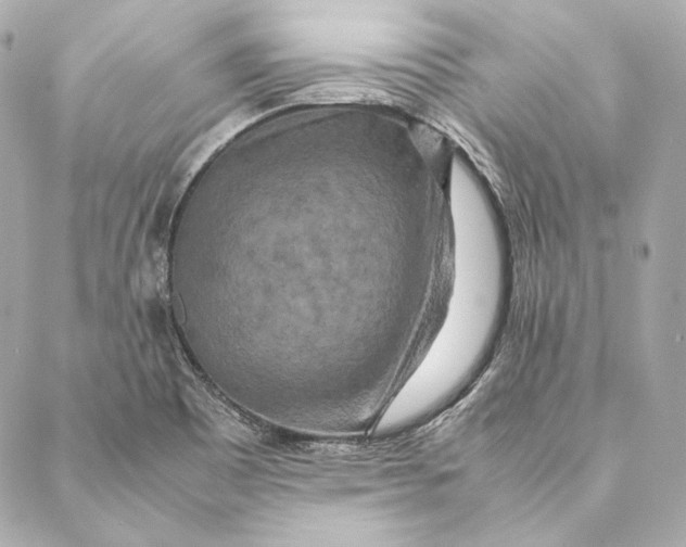 X0000087371465200705111658