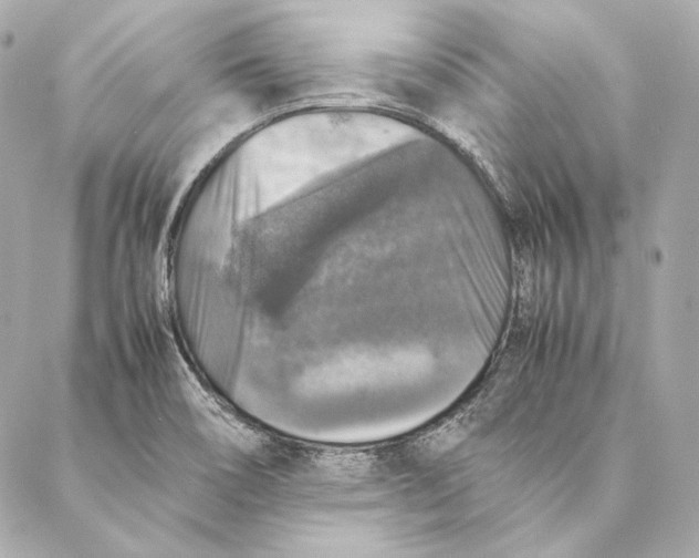 X0000087371466200705111658