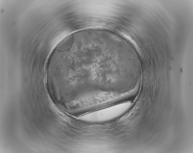 X0000087371467200705111658