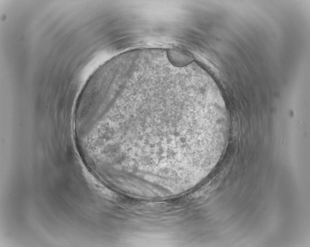 X0000087371471200705111658