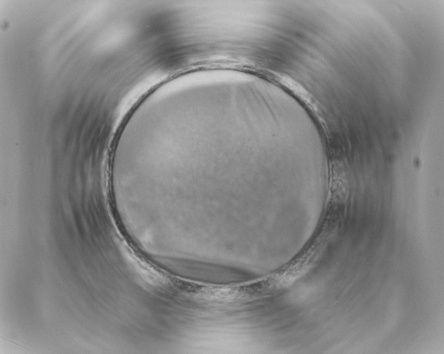 X0000087371474200705111658