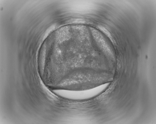 X0000087371475200705111657