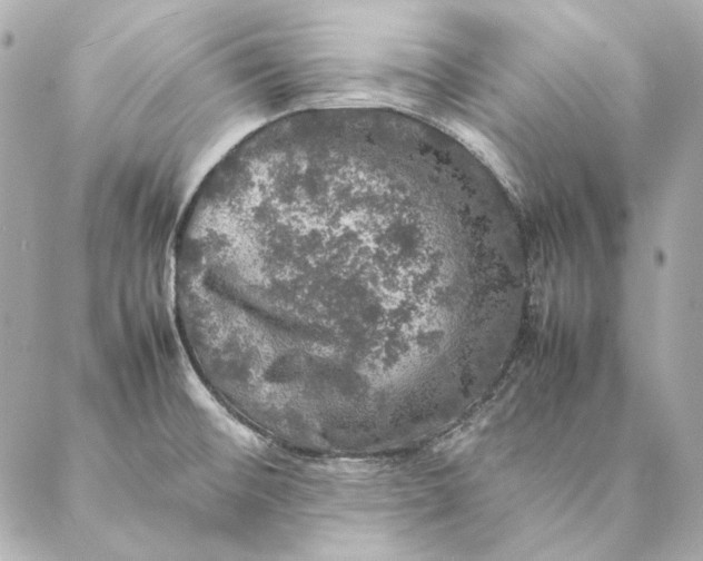 X0000087371476200705111657