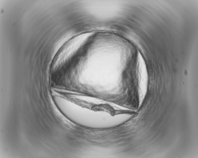 X0000087371483200705111657