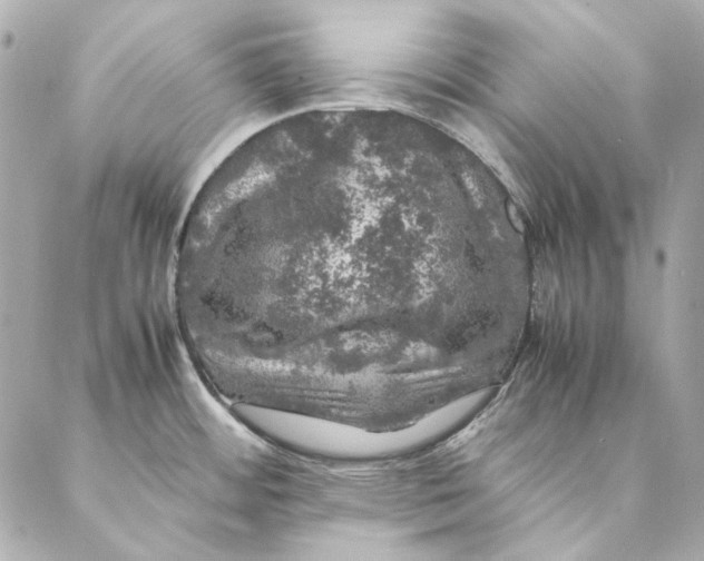 X0000087371484200705111657