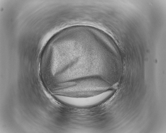 X0000087371511200705111657