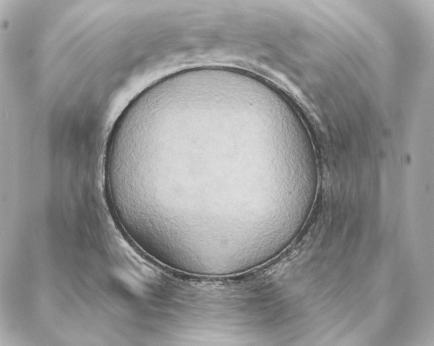 X0000087371512200705111657