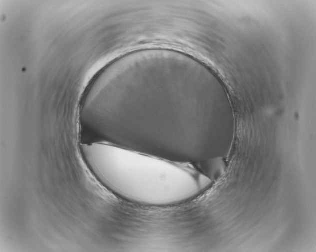 X0000087371522200705111657