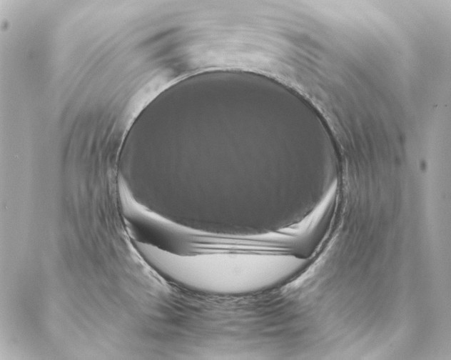 X0000087371529200705111657