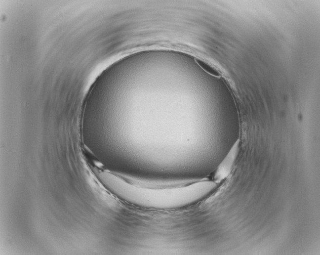 X0000087371530200705111657