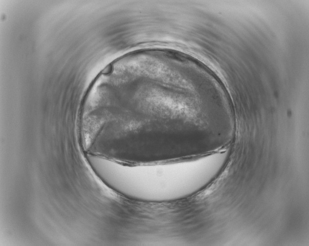 X0000087371533200705111657