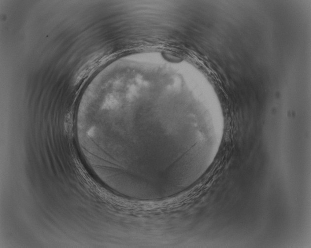 X0000087370002200705181228