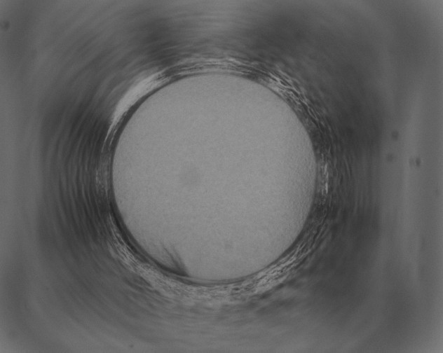 X0000087370004200705181228