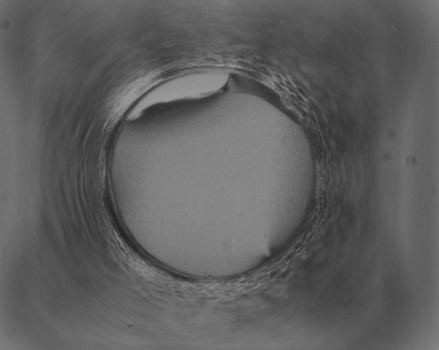 X0000087370005200705181228