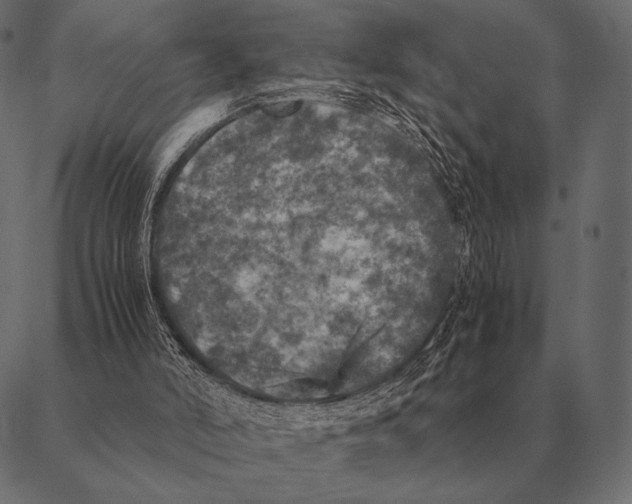 X0000087370006200705181228