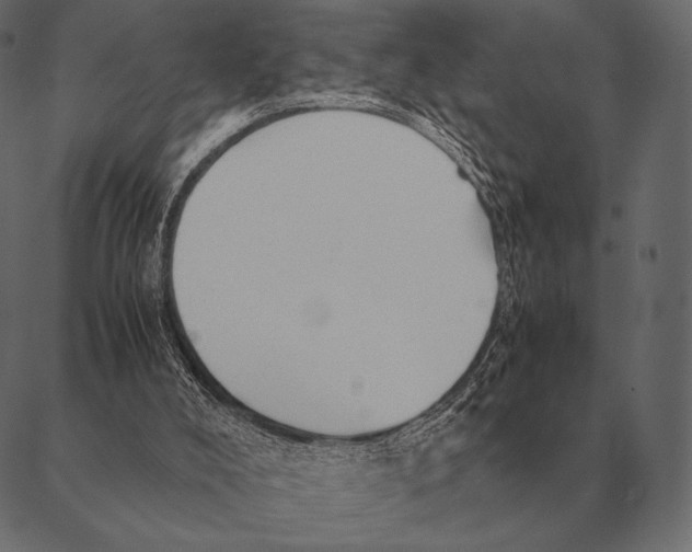 X0000087370008200705181228