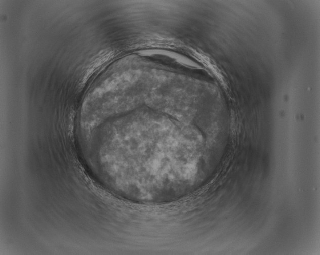 X0000087370010200705181228