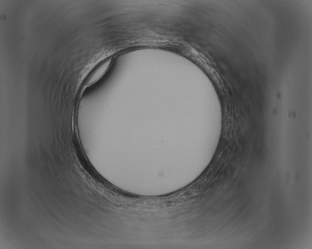 X0000087370011200705181228