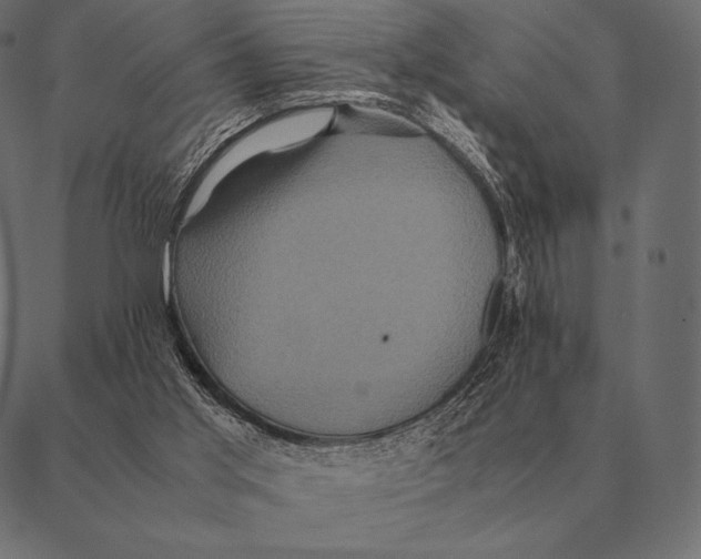 X0000087370013200705181228