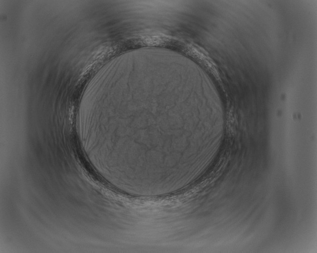 X0000087370018200705181228