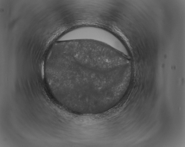 X0000087370020200705181228