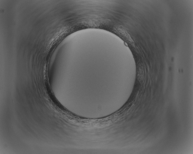 X0000087370023200705181228