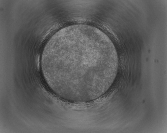 X0000087370024200705181228