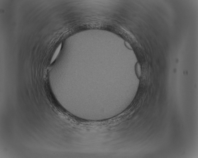 X0000087370025200705181228