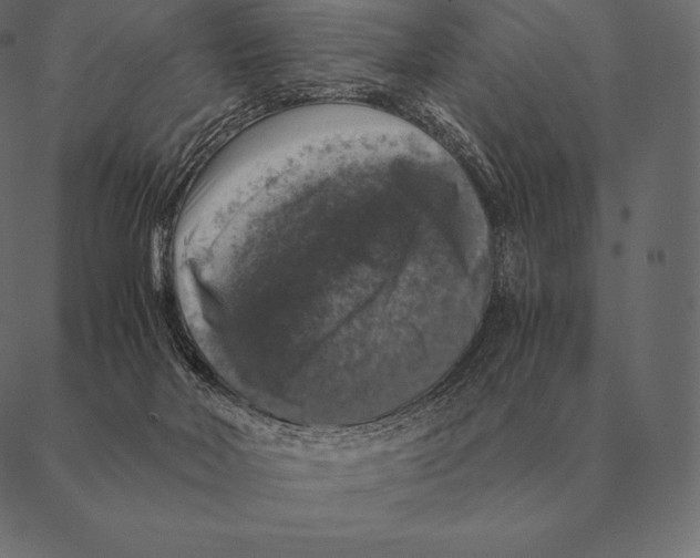 X0000087370026200705181228