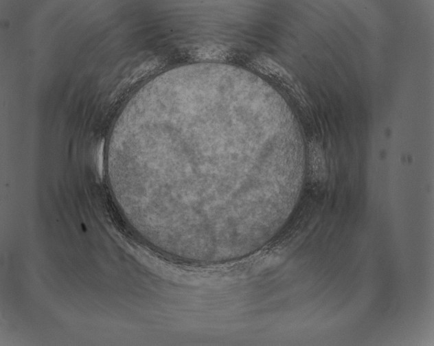 X0000087370028200705181228