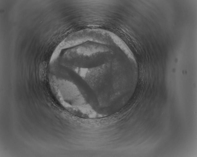 X0000087370030200705181228