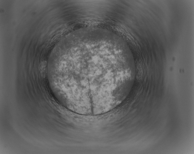 X0000087370034200705181228