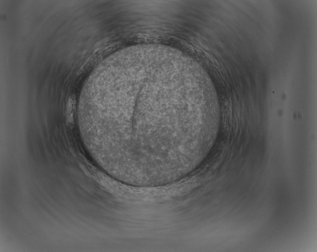 X0000087370038200705181228