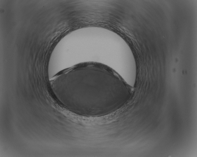 X0000087370039200705181228