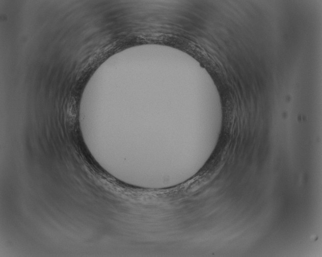 X0000087370040200705181228