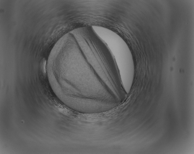 X0000087370041200705181228