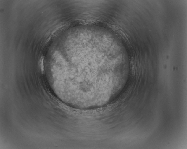 X0000087370042200705181227