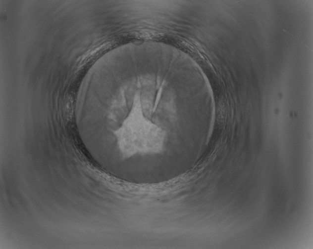 X0000087370043200705181227