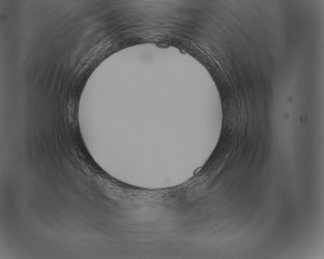 X0000087370044200705181227