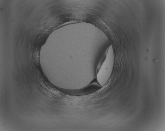 X0000087370045200705181227