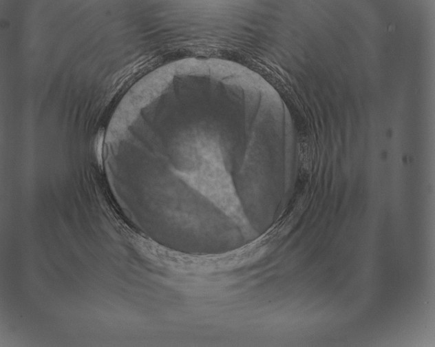 X0000087370047200705181227