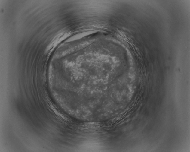 X0000087370050200705181227