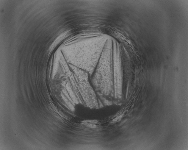 X0000087370051200705181227