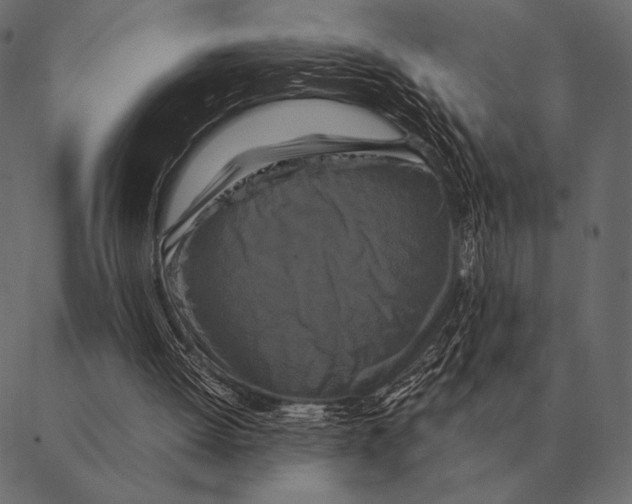 X0000087370052200705181227