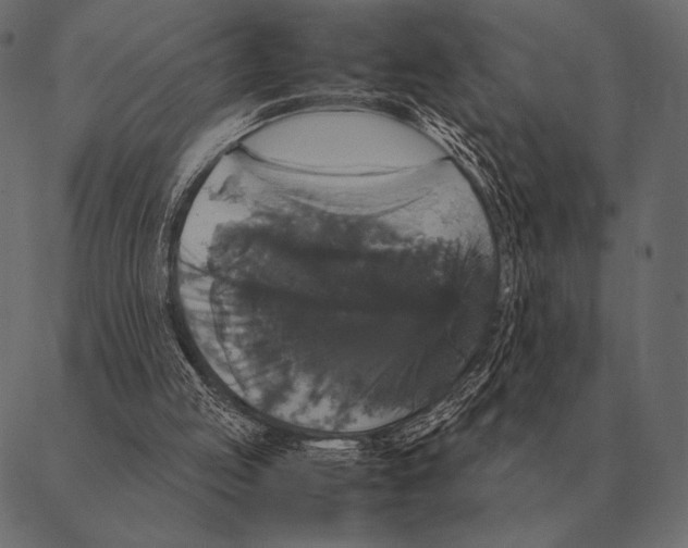 X0000087370053200705181227