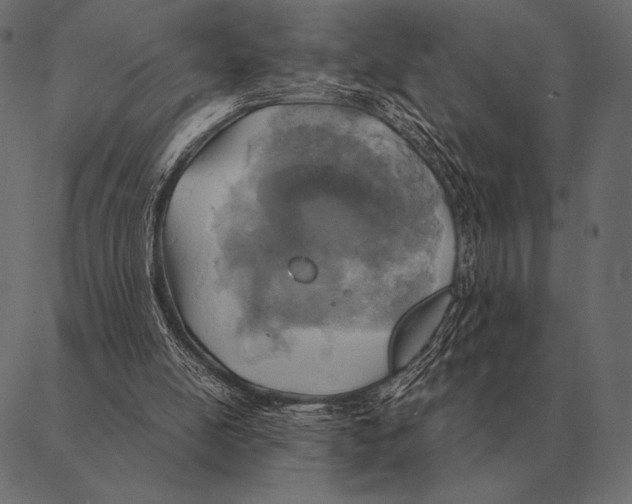 X0000087370054200705181227