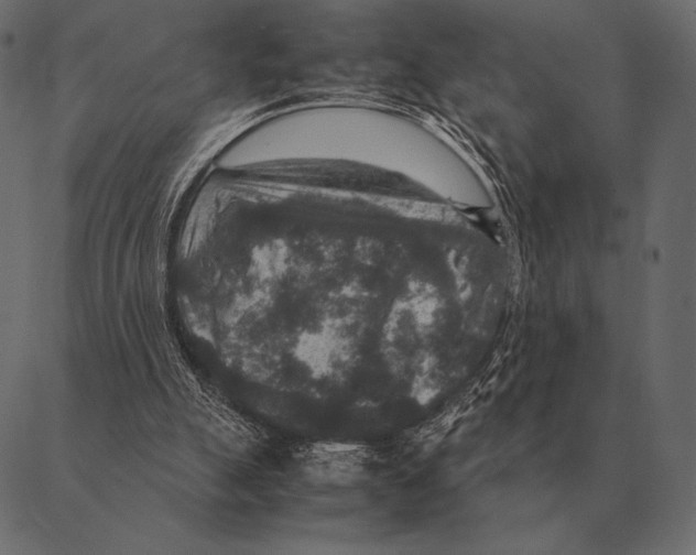 X0000087370055200705181227